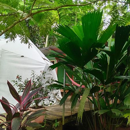 Glamping Naioth Apartment Guapiles Luaran gambar