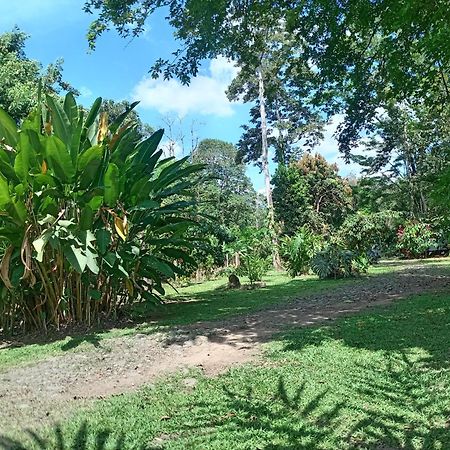 Glamping Naioth Apartment Guapiles Luaran gambar