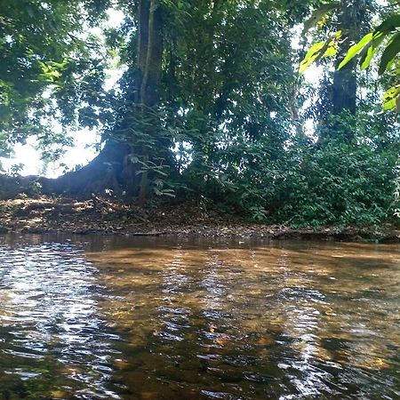 Glamping Naioth Apartment Guapiles Luaran gambar