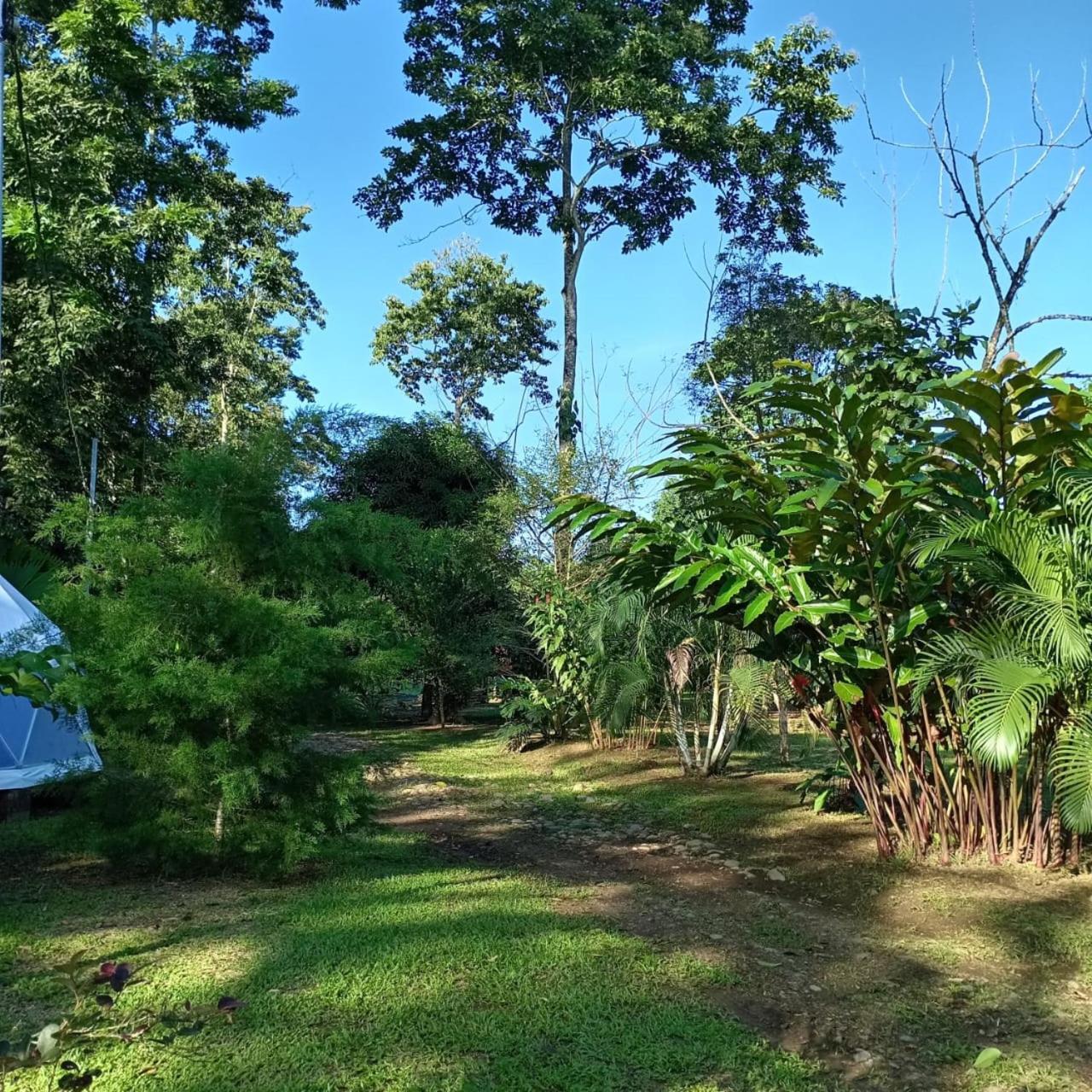 Glamping Naioth Apartment Guapiles Luaran gambar