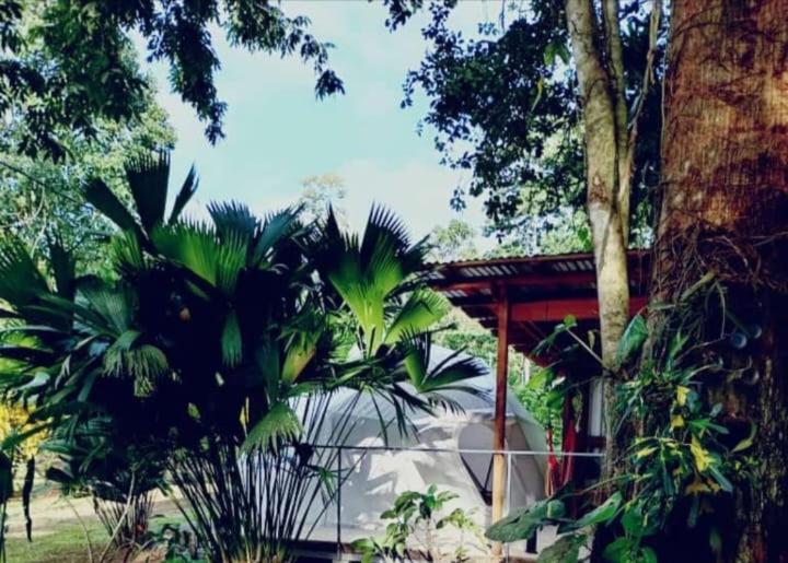 Glamping Naioth Apartment Guapiles Luaran gambar