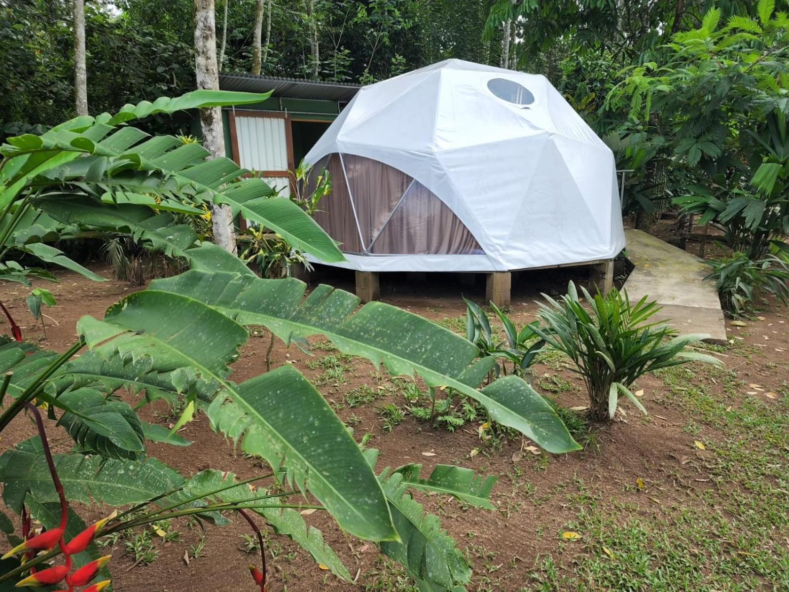 Glamping Naioth Apartment Guapiles Luaran gambar