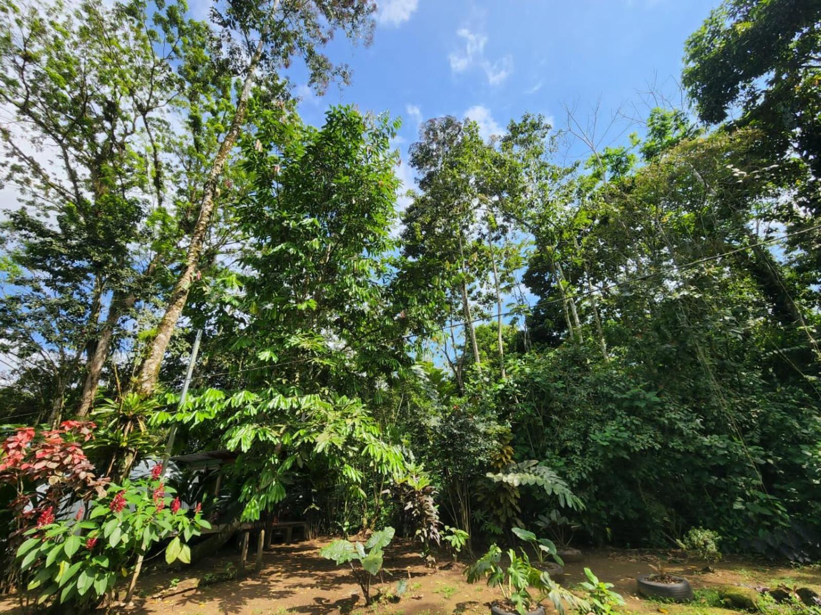 Glamping Naioth Apartment Guapiles Luaran gambar