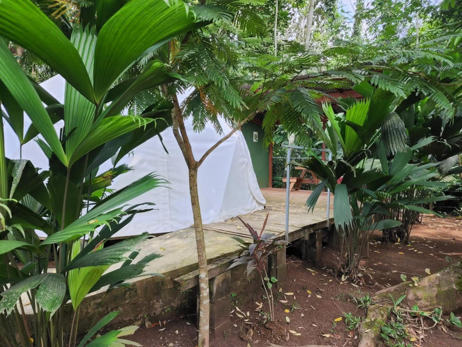 Glamping Naioth Apartment Guapiles Luaran gambar