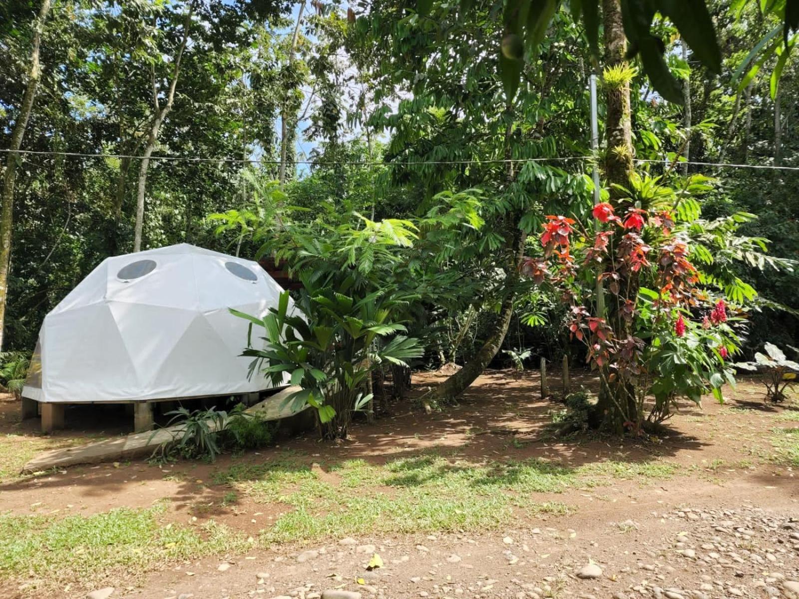 Glamping Naioth Apartment Guapiles Luaran gambar