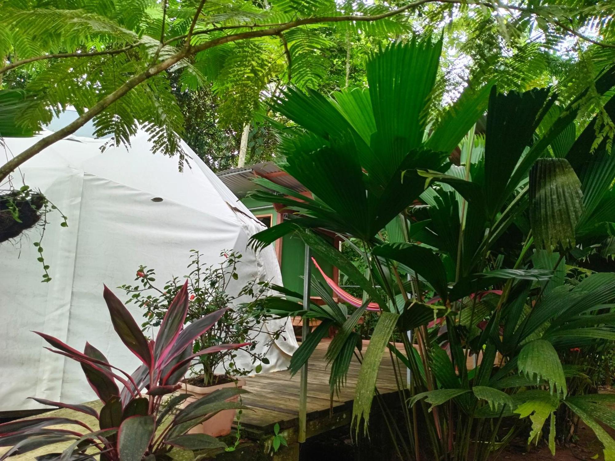 Glamping Naioth Apartment Guapiles Luaran gambar