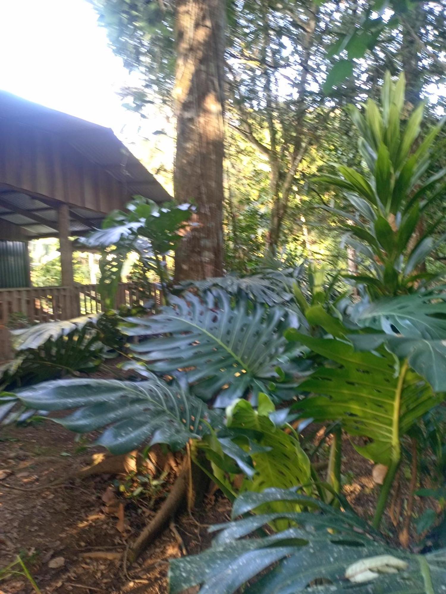 Glamping Naioth Apartment Guapiles Luaran gambar